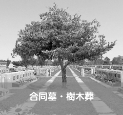 合同墓・樹木葬