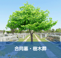 合同墓・樹木葬