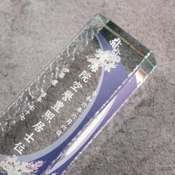 【オプション】プレート文字の色入れ3